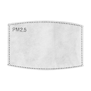 Blank Mask Insert PM2.5 Filters (10 pieces)